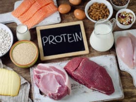 hrana bogata proteinima