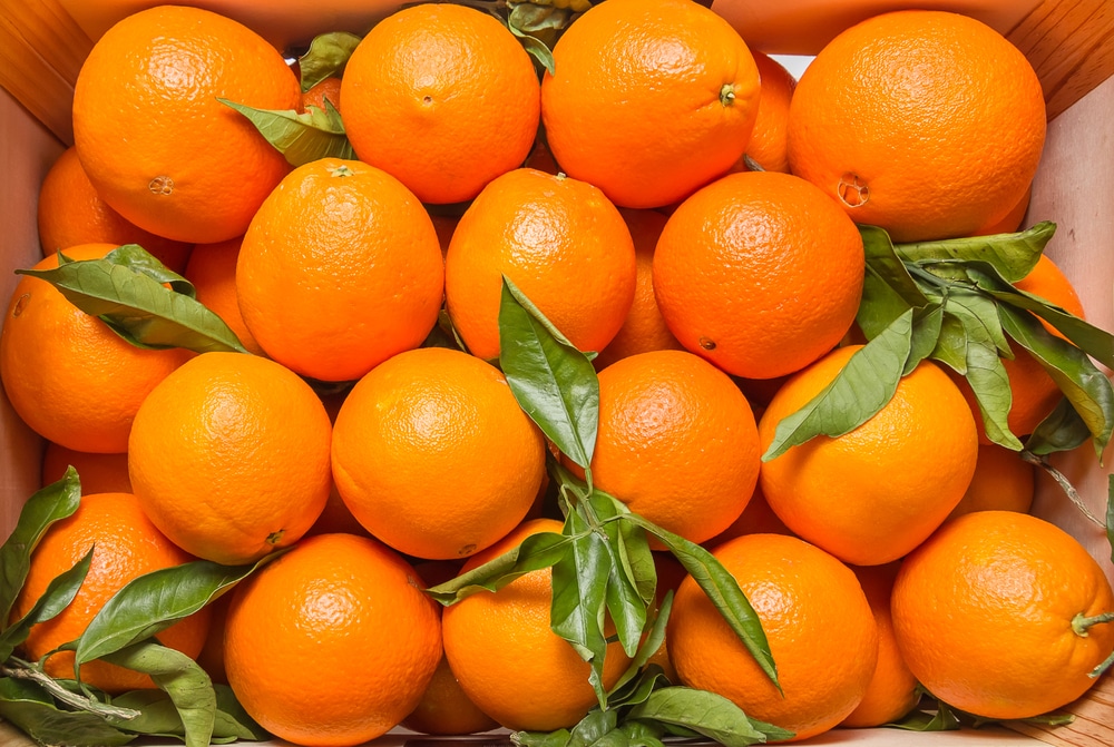 agrumi naranča