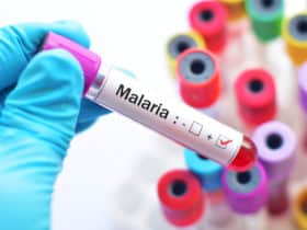 malarija