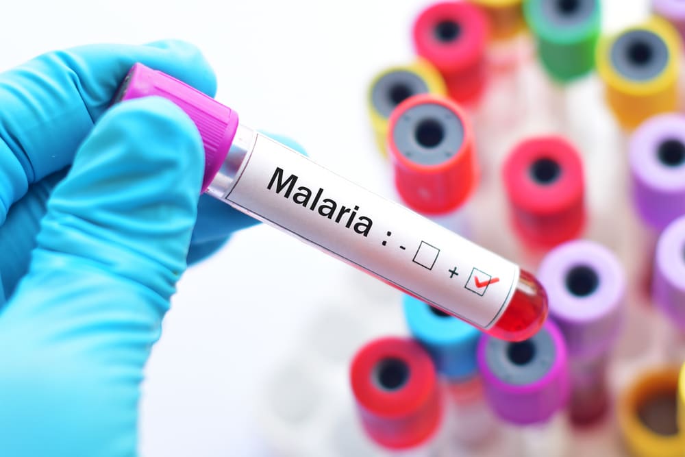 malarija