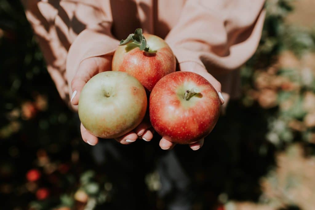 zdravlje i jabuke, zašto su jabuke zdrave, jabuke zdravstvene prednosti, jabuka
