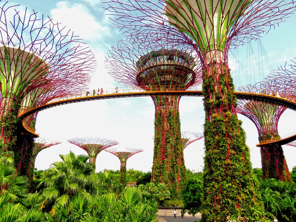 priroda i zdravlje na primjeru Singapura