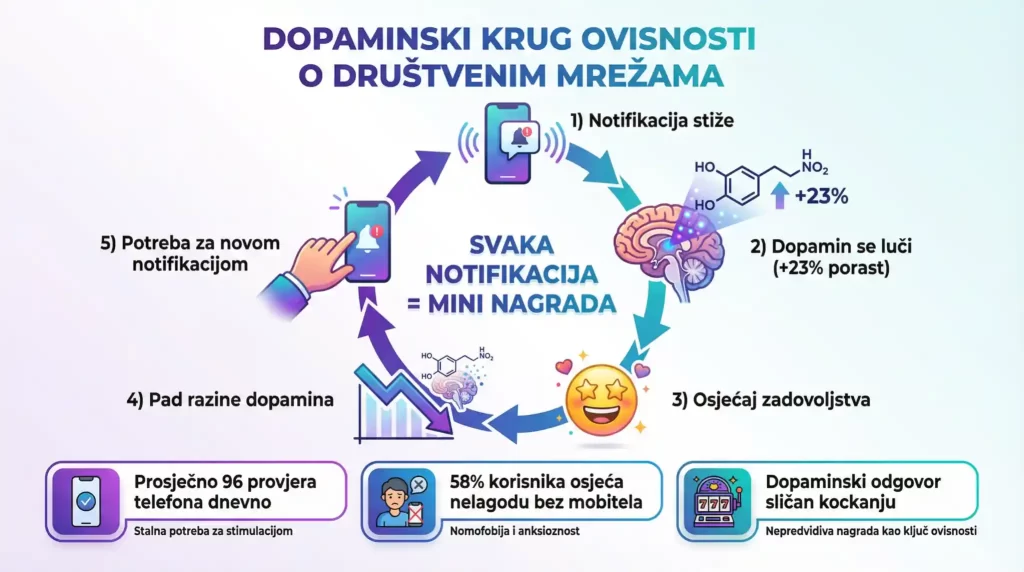 Infografika o ovisnosti o društvenim mrežama: notifikacija kao mini nagrada (porast dopamina +23%) → zadovoljstvo → pad dopamina → potreba za novom notifikacijom; prosječno 96 provjera mobitela/dan, 58% nelagode bez mobitela.