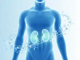 Moderna medicinska ilustracija koja prikazuje zdravlje bubrega i metabolizam urata