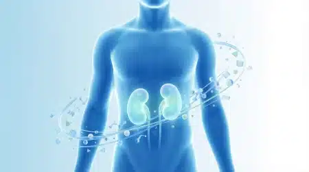 Moderna medicinska ilustracija koja prikazuje zdravlje bubrega i metabolizam urata