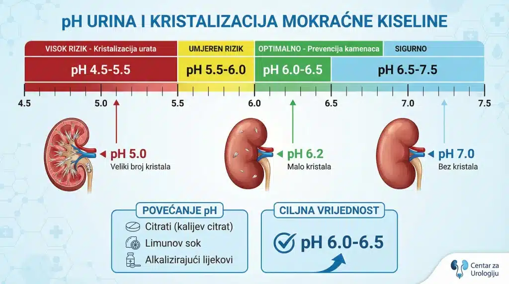 Precizna skala pH vrijednosti (4.5-7.5) s vizualnim prikazom kristalizacije u bubrezima, ciljnim vrijednostima (pH 6.0-6.5) i metodama alkalizacije