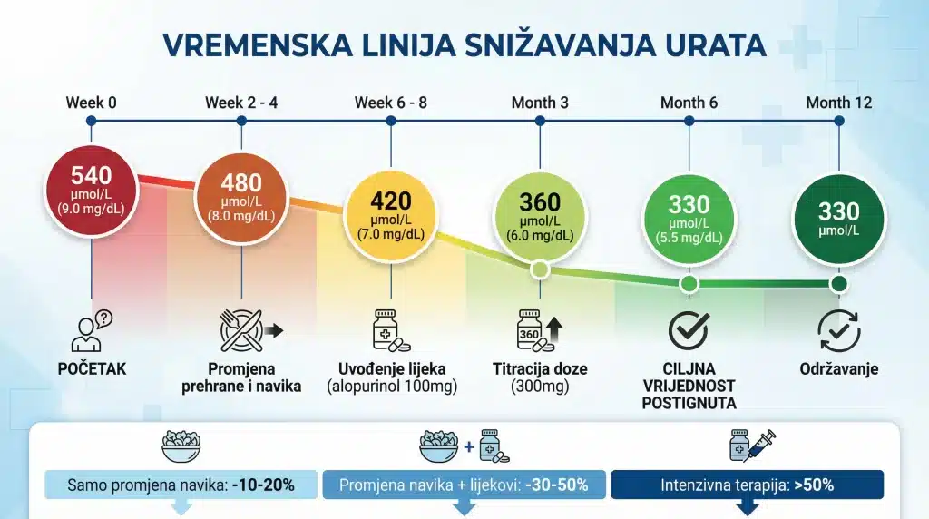 Prikaz progresa kroz 12 mjeseci s konkretnim vrijednostima urata, od početnih 540 μmol/L do ciljnih 330 μmol/L, uključujući titraciju lijekova i očekivane postotke smanjenja